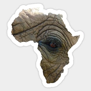 Elephant Eye of Africa Sticker